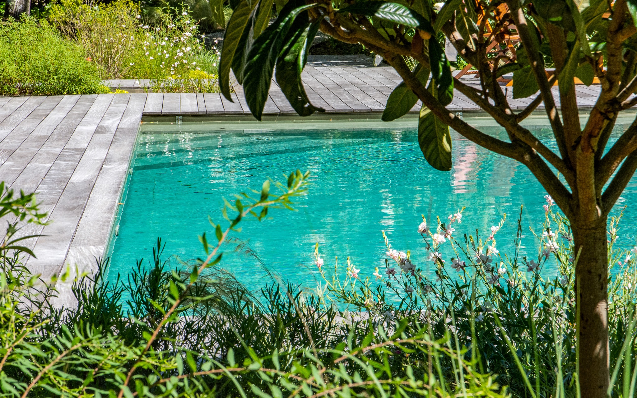 Piscine turquoise moderne avec terrasse en bois, entourée de verdure luxuriante et fleurs blanches, sous un soleil éclatant.